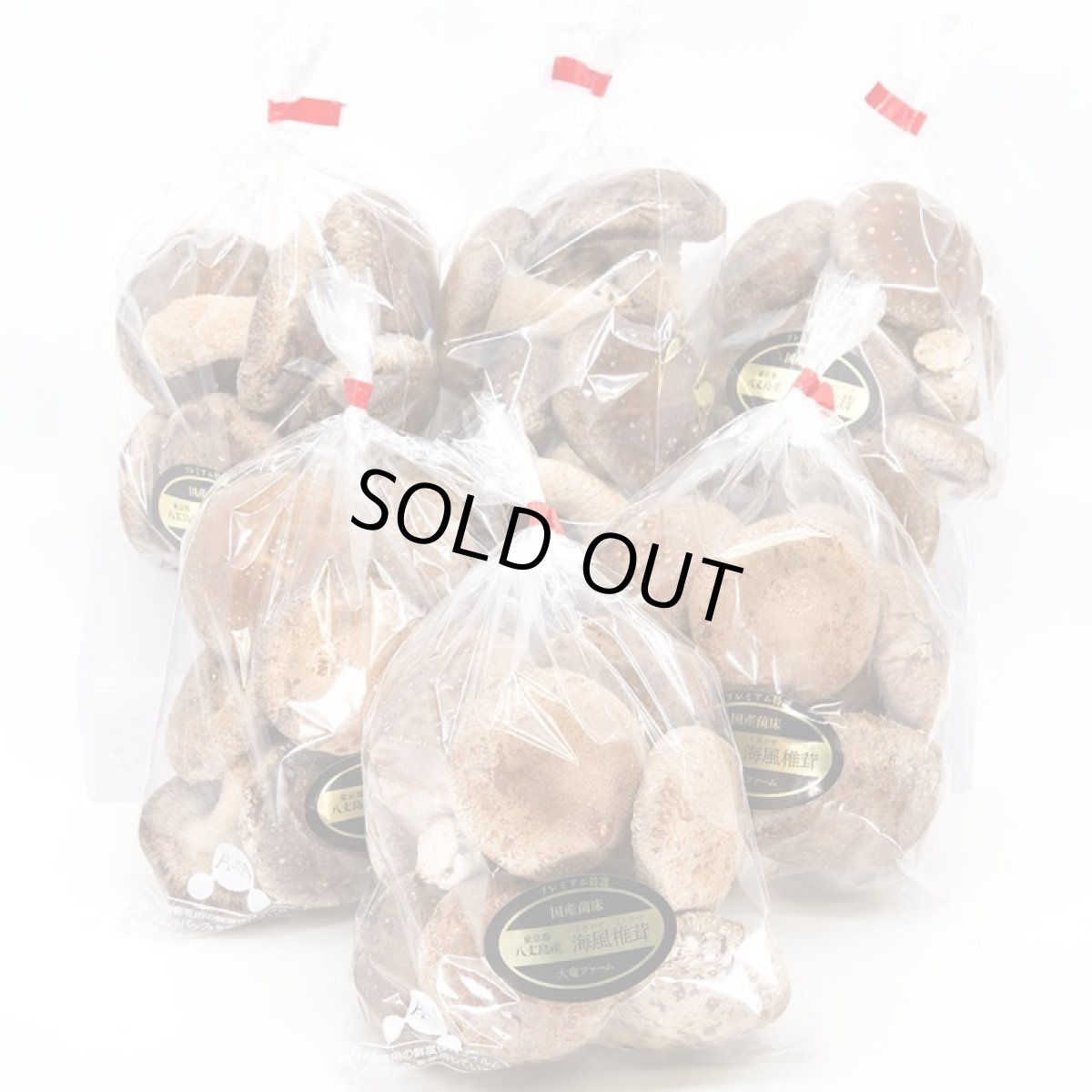 画像2: うみかぜ椎茸生＆乾燥品ボリュームセット (2)