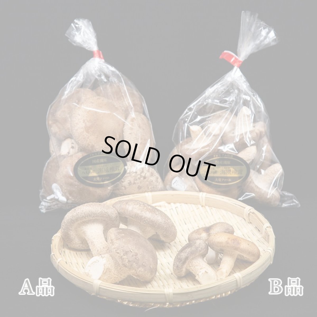 画像5: うみかぜ椎茸（生）A品6袋セット (5)