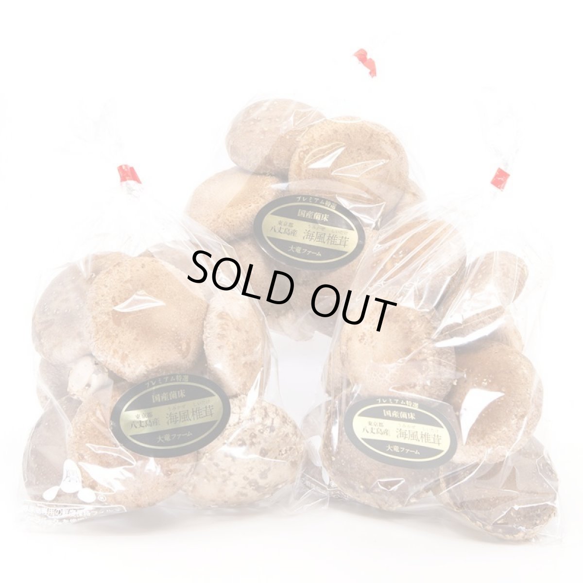 画像1: うみかぜ椎茸(生)A品3袋セット (1)