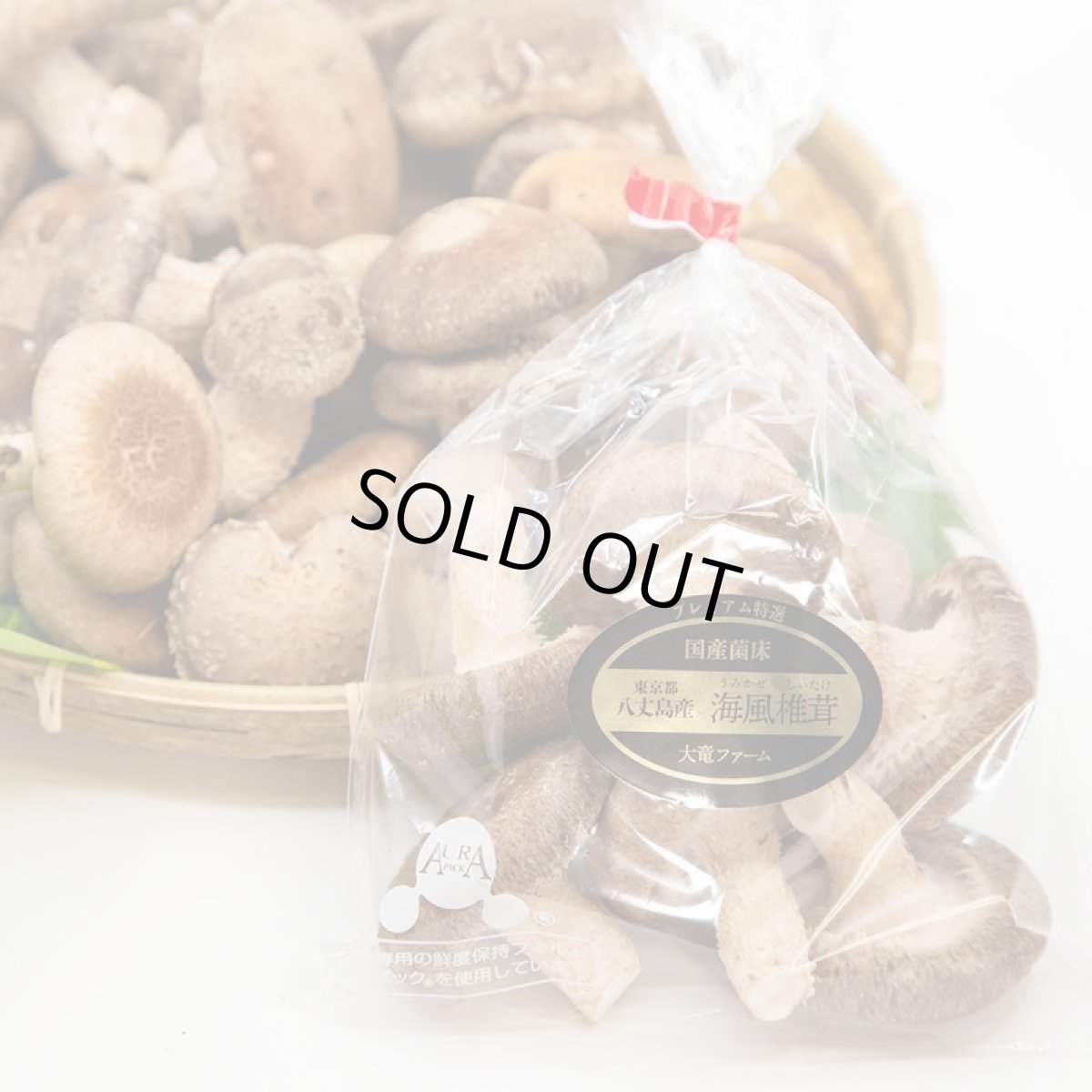 画像2: うみかぜ椎茸（生）B品4袋セット (2)