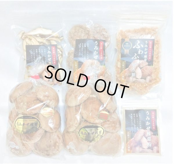 おいしーたけ様 うみかぜ椎茸セット【八丈島 大竜ファーム公式通販サイト】