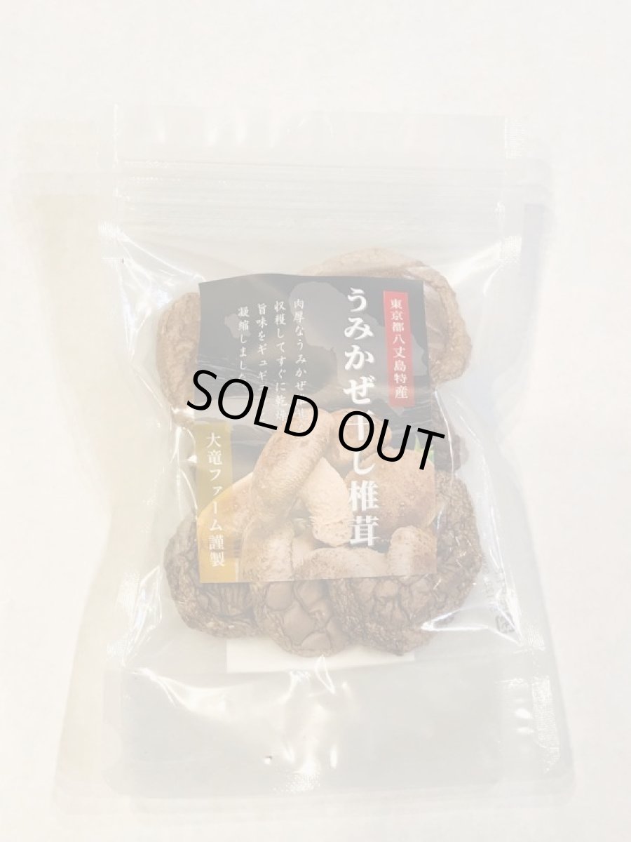 画像4: うみかぜ椎茸生＆乾燥品ボリュームセット (4)