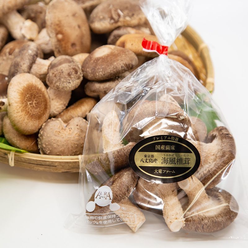 画像2: うみかぜ椎茸（生）B品8袋セット (2)